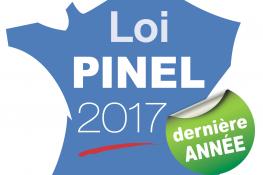 Affiche Pinel 2017